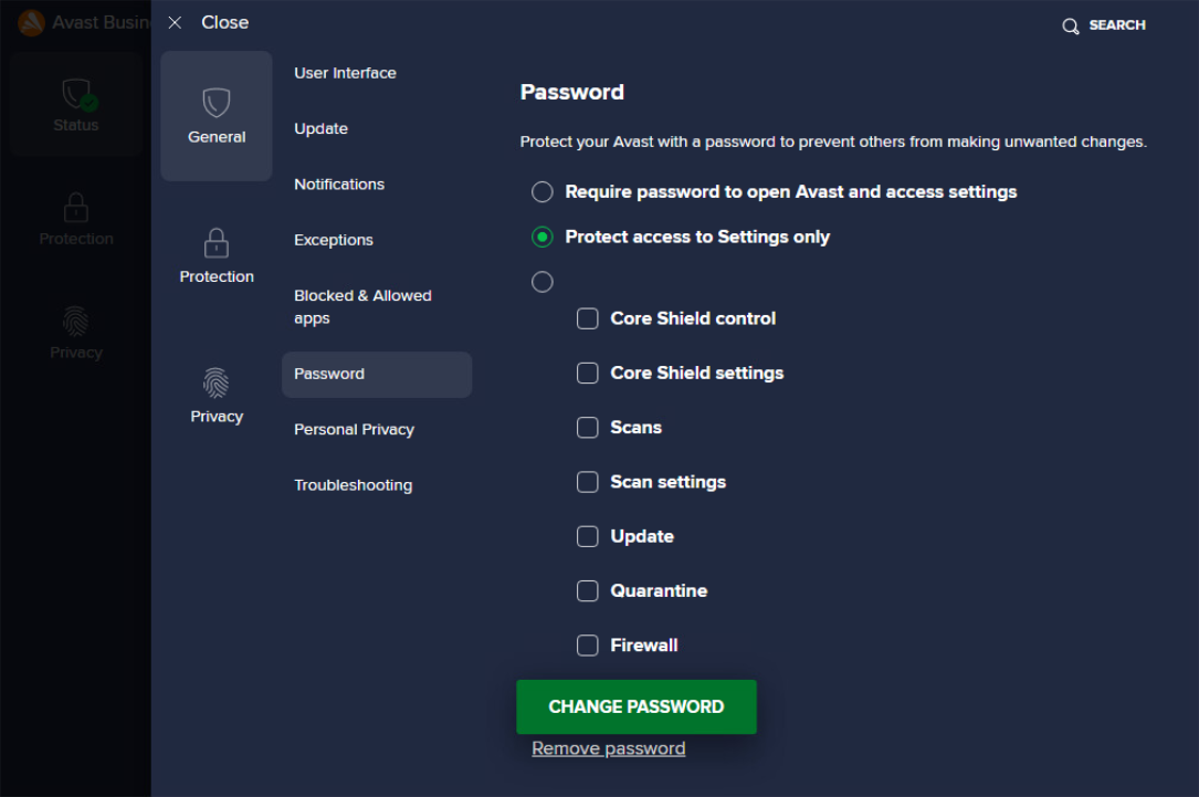 Password-Protecting Client UI